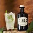 Gingo Power Spyce Gin | Bild 2