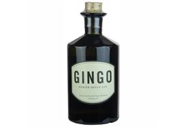 Gingo Power Spyce Gin